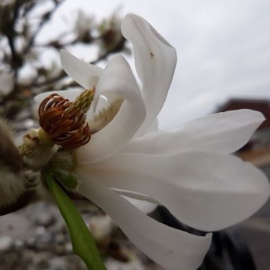 tsa_PhotoclubHomeLearning (2)